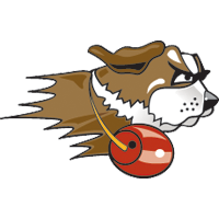 University of St Francis logo