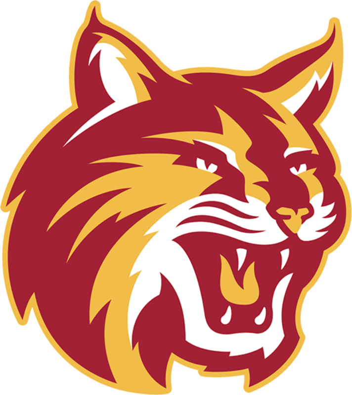 Saddleback College logo